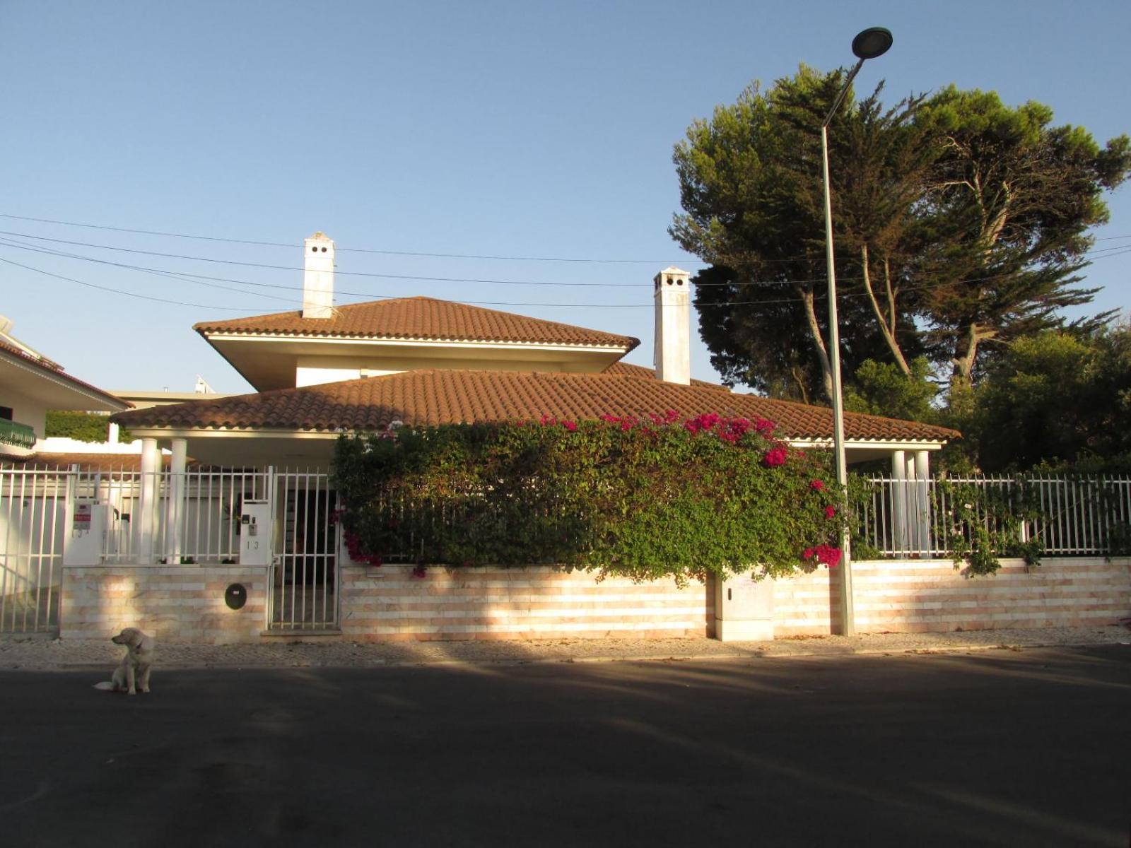 Go Pt - Private Challet With Swimming Pool And Garden Parede Exterior photo